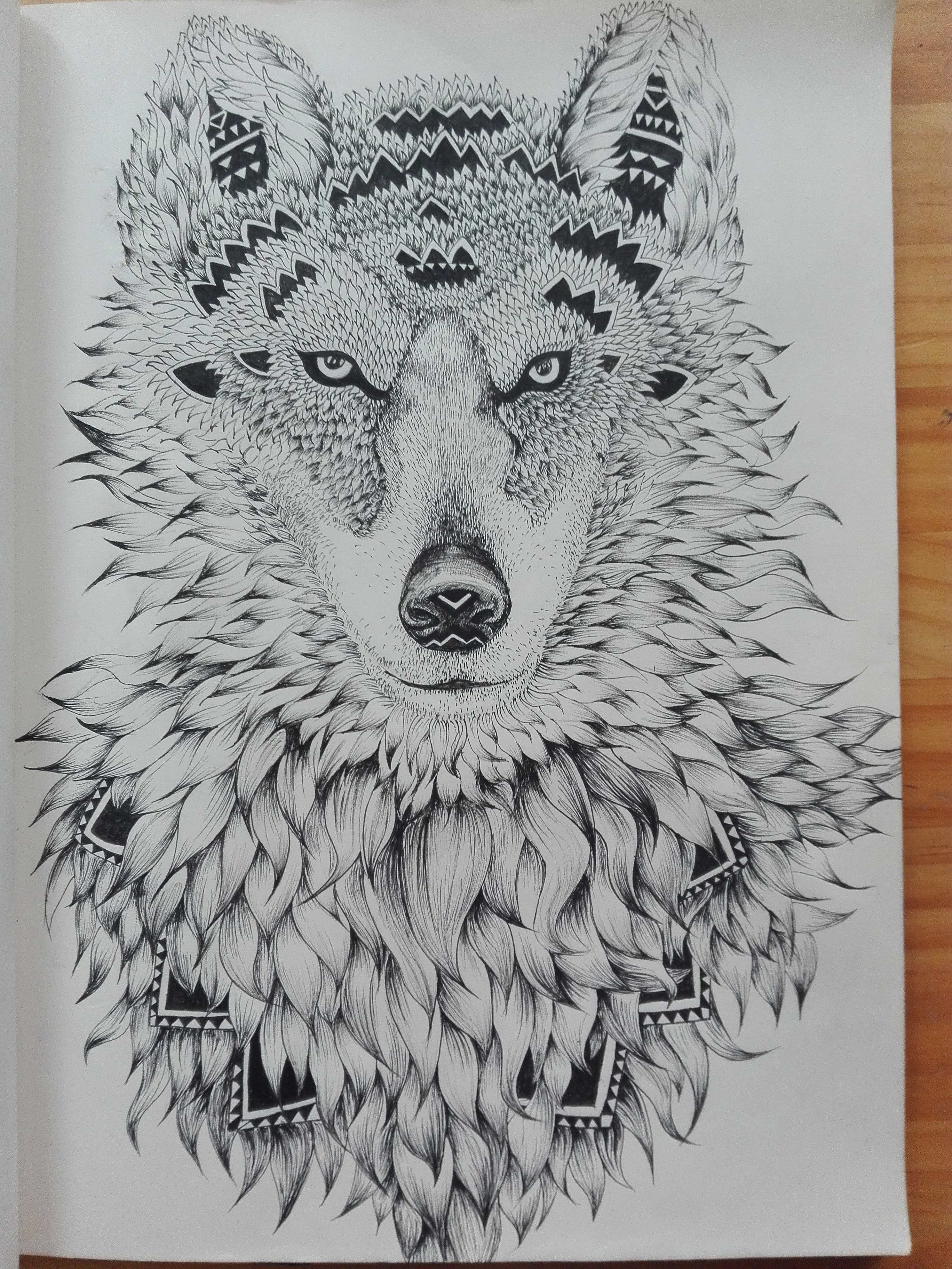 狼 狼群 雪狼 雪天 4K壁纸壁纸(动物静态壁纸) - 静态壁纸下载 - 元气壁纸