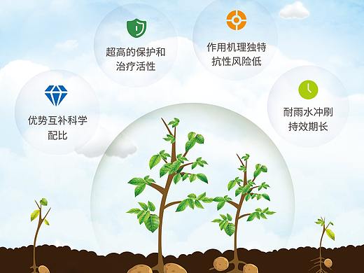 中化作物-物料宣传单页系列