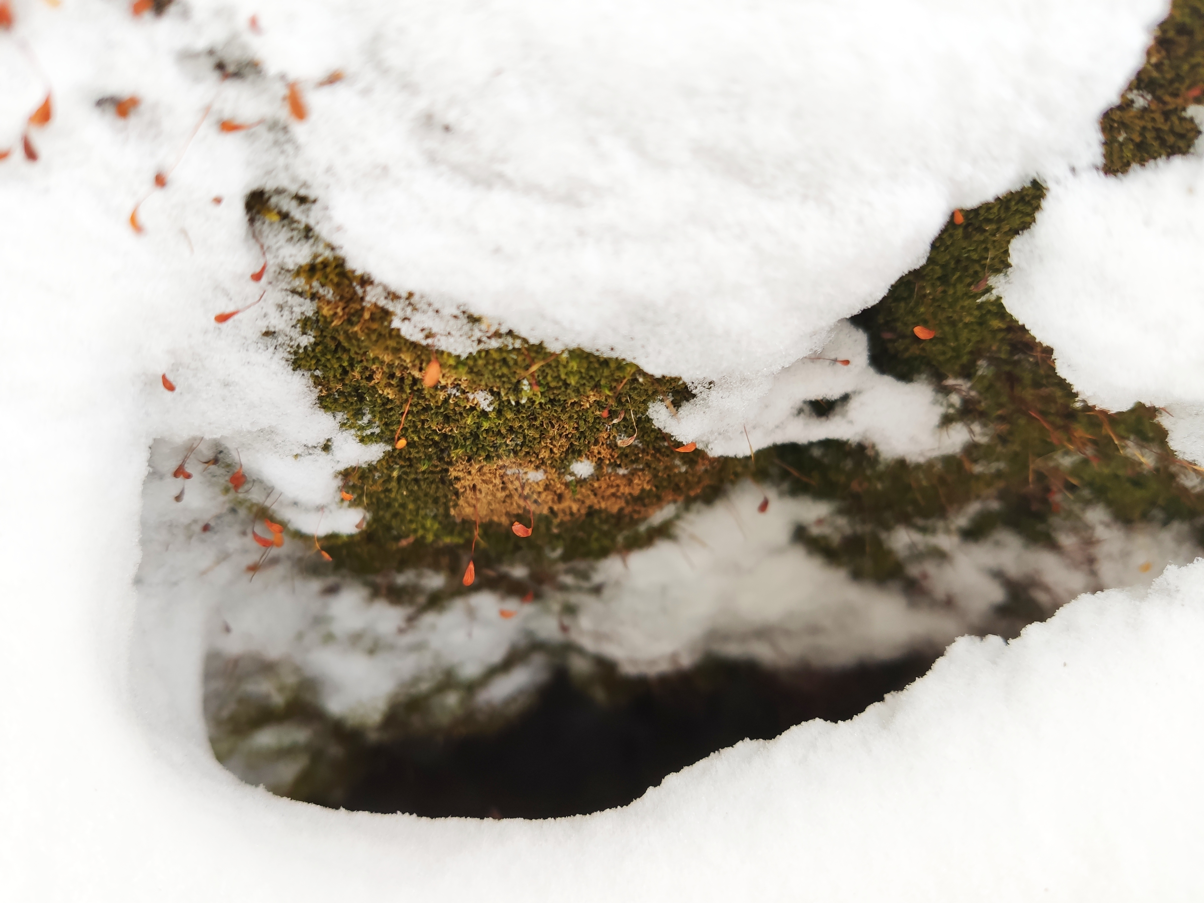 小友陈的个人主页（封面预览） - 主页封面设置 - 站酷设计师小友陈原创素材 - 站酷ZCOOL