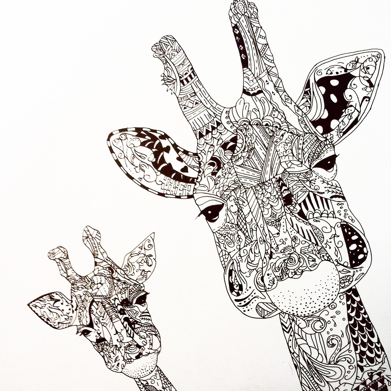 【黑白装饰画】|纯艺术|绘画|青疯徐涞_原创作品-站酷zcool