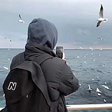 浣熊yes的头像