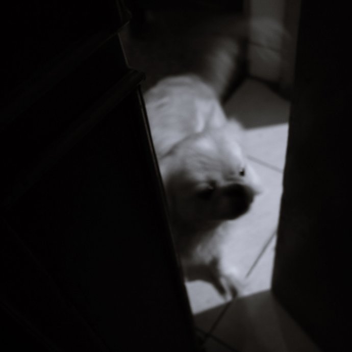 一个加班的周末（图ZMTA0MDE3MTI=） - 人文/纪实摄影 - 站酷设计师tongnixcv原创素材 - 站酷ZCOOL