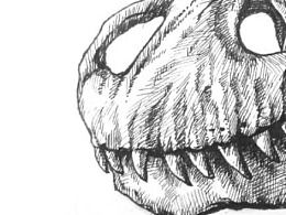 恐龙头骨素描图片