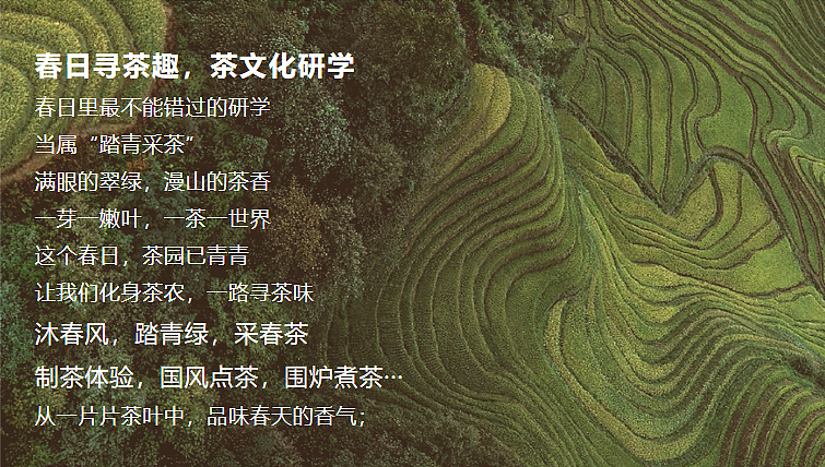 2024春日踏青茶艺研学(寻春茶宴主题)活动策划案-42P