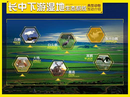 一组动物触摸屏展览