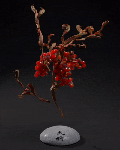 2021岁朝清供（图ZMjQzMjY0NzY0） - 动画/影视 - 站酷设计师E是天翼的翼原创素材 - 站酷ZCOOL