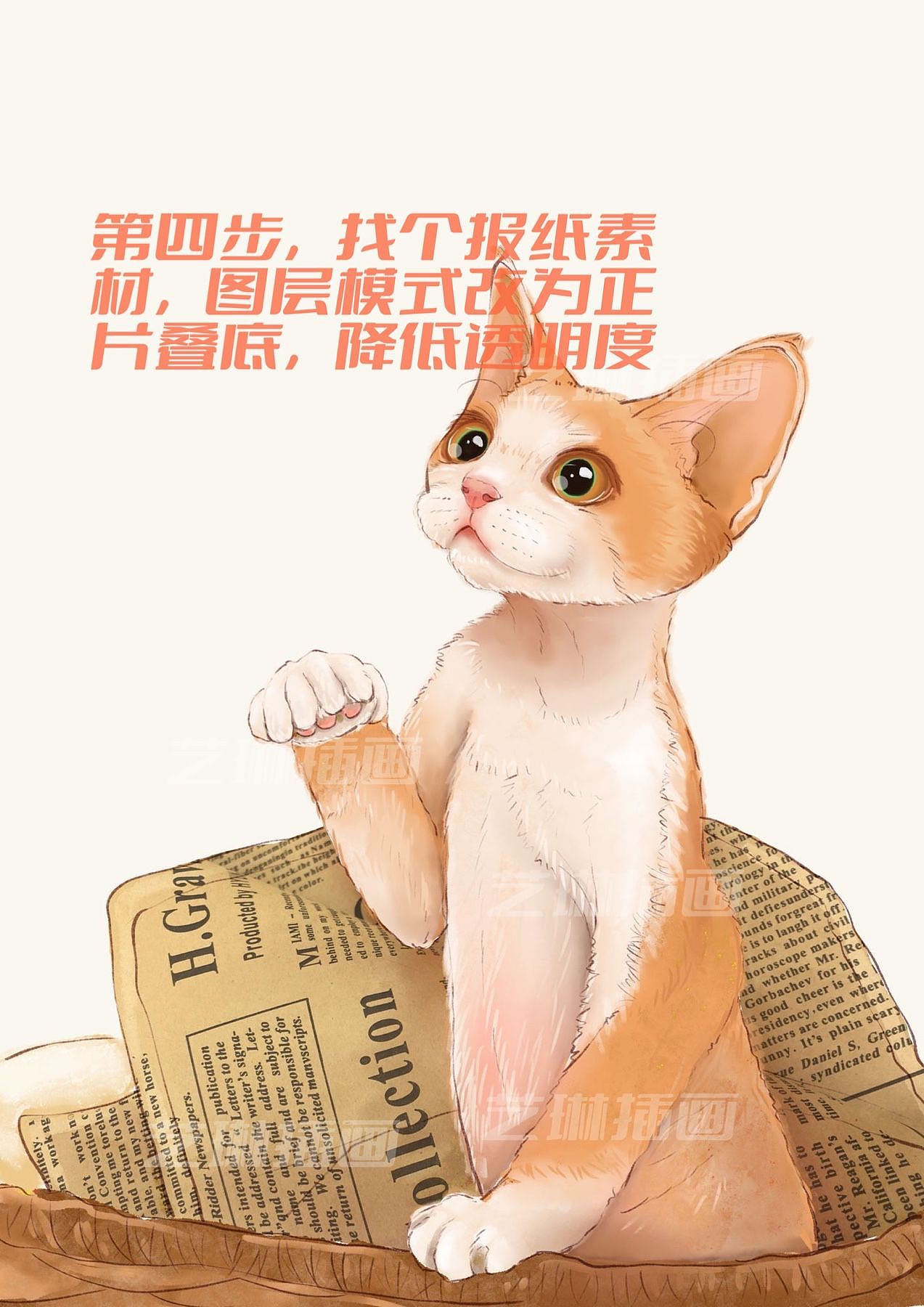 宠物猫咪水彩插画教程