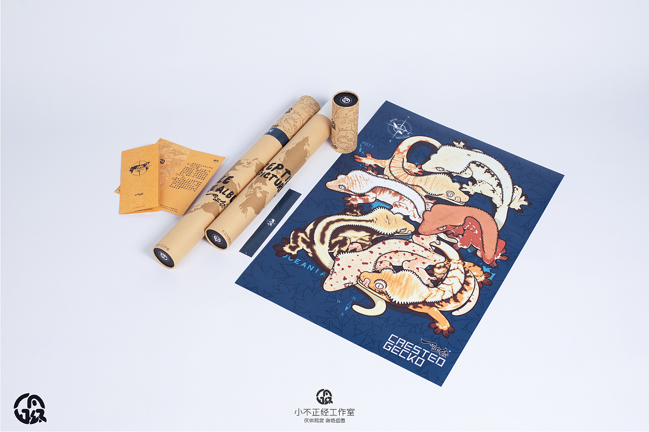 睫角守宫基因图鉴（图ZMTg3OTQ4NzQ4） - 艺术插画 - 站酷设计师从小不正经的男人原创素材 - 站酷ZCOOL