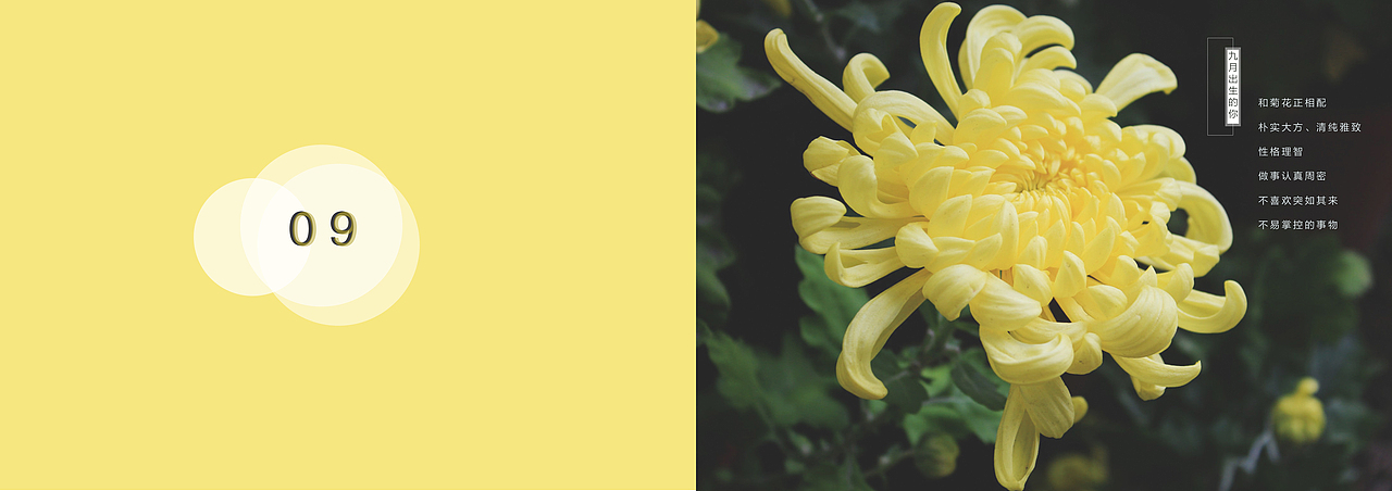 纪念（图ZMTI5MjE1MjY4） - 书籍/画册 - 站酷设计师三木C原创素材 - 站酷ZCOOL