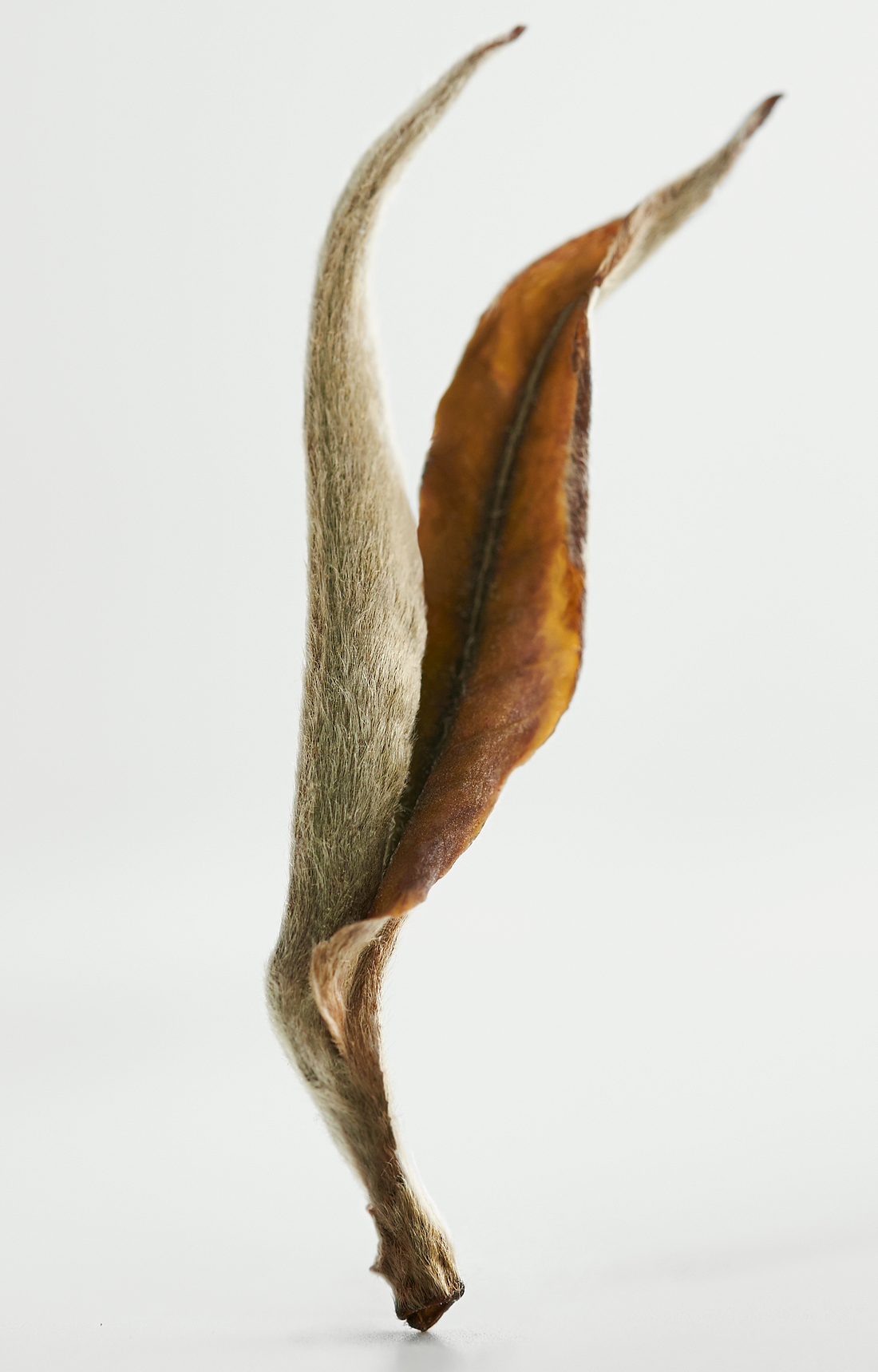 
一个强调茶的盒子<br><br>朴素的工艺，干净的茶。如此，我们“素描”了一个纯白的盒子，如“东方美人”般，“月光白”同样有一种说不尽的美感。白色是一种宁静的基调，如月光一样，让你的心松弛下来。盒子简练到极限，也并非刻意缩小，而是恢复到默认值，如评委老师说的，这是一个强调茶叶的盒子。<br><br>