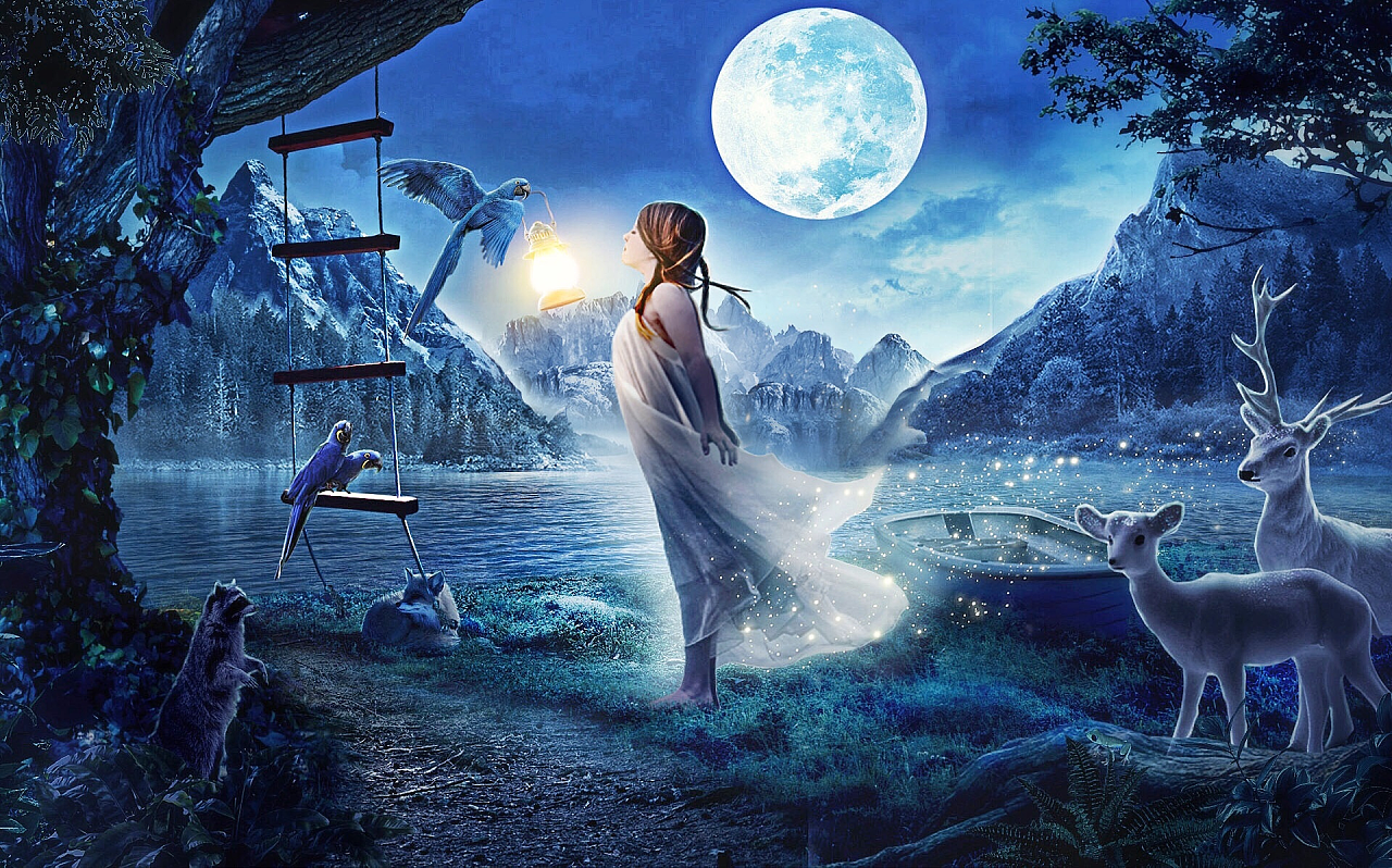 夜景创意合成海报——小仙女