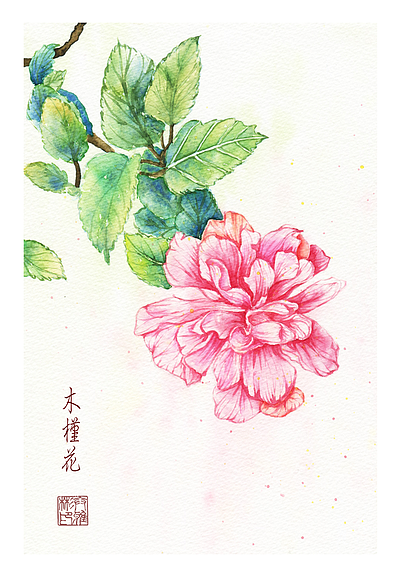 创作——花卉2（图ZMjc3MjE4ODA=） - 商业插画 - 站酷设计师冰盐_Ybin原创素材 - 站酷ZCOOL