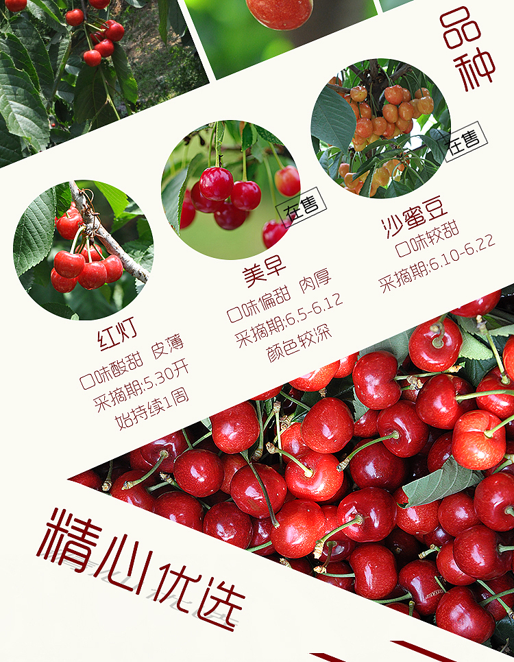 自己拍照自己编辑出水果详情页（图ZNTAzNTUwNDg=） - 电商 - 站酷设计师SugarNO1原创素材 - 站酷ZCOOL