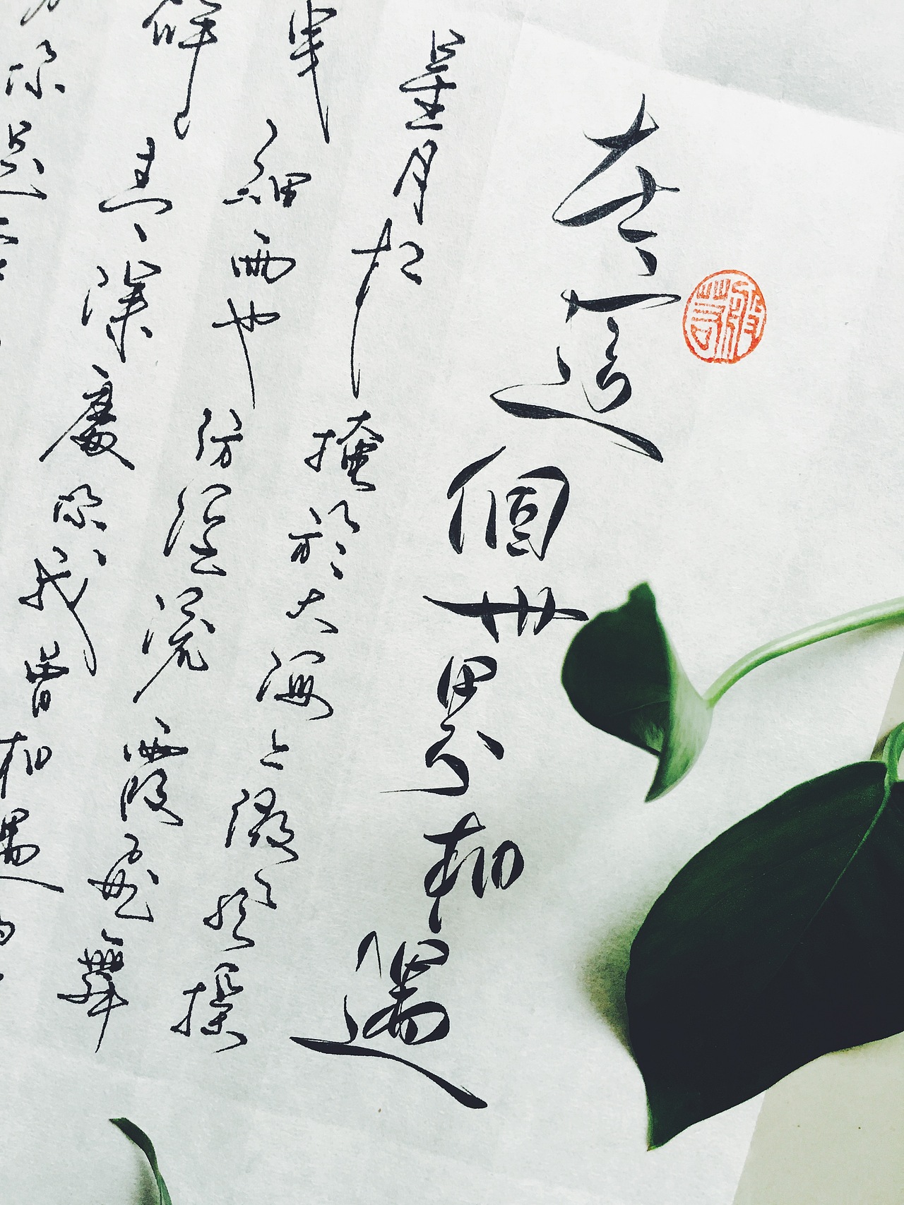 手写菊花体--大鱼海棠（图ZNTU0OTU1MDg=） - 字体/字形 - 站酷设计师零雨其蒙蒙原创素材 - 站酷ZCOOL