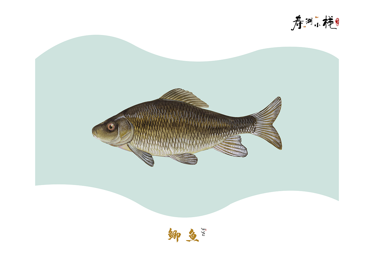 《鱼》（图ZMTYwNDE4ODI0） - 书籍/画册 - 站酷设计师ANEAL原创素材 - 站酷ZCOOL