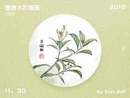 植物
