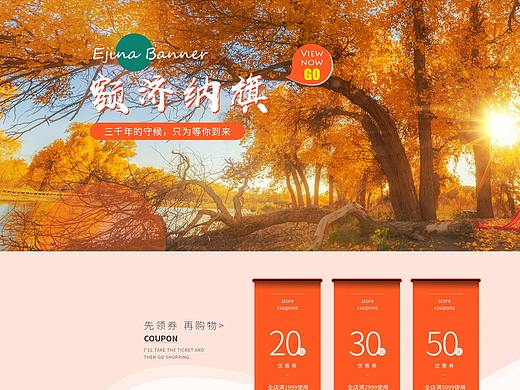 旅游-甘肃同德旅行社首页设计