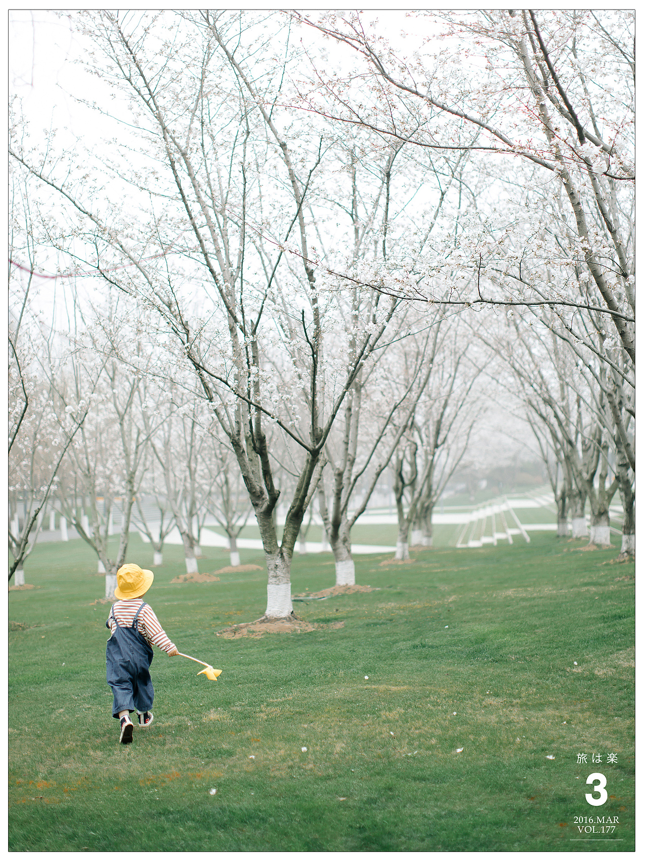 崽子看到第一场樱花（图ZMjkyODY3ODMy） - 人像摄影 - 站酷设计师baiyang421原创素材 - 站酷ZCOOL