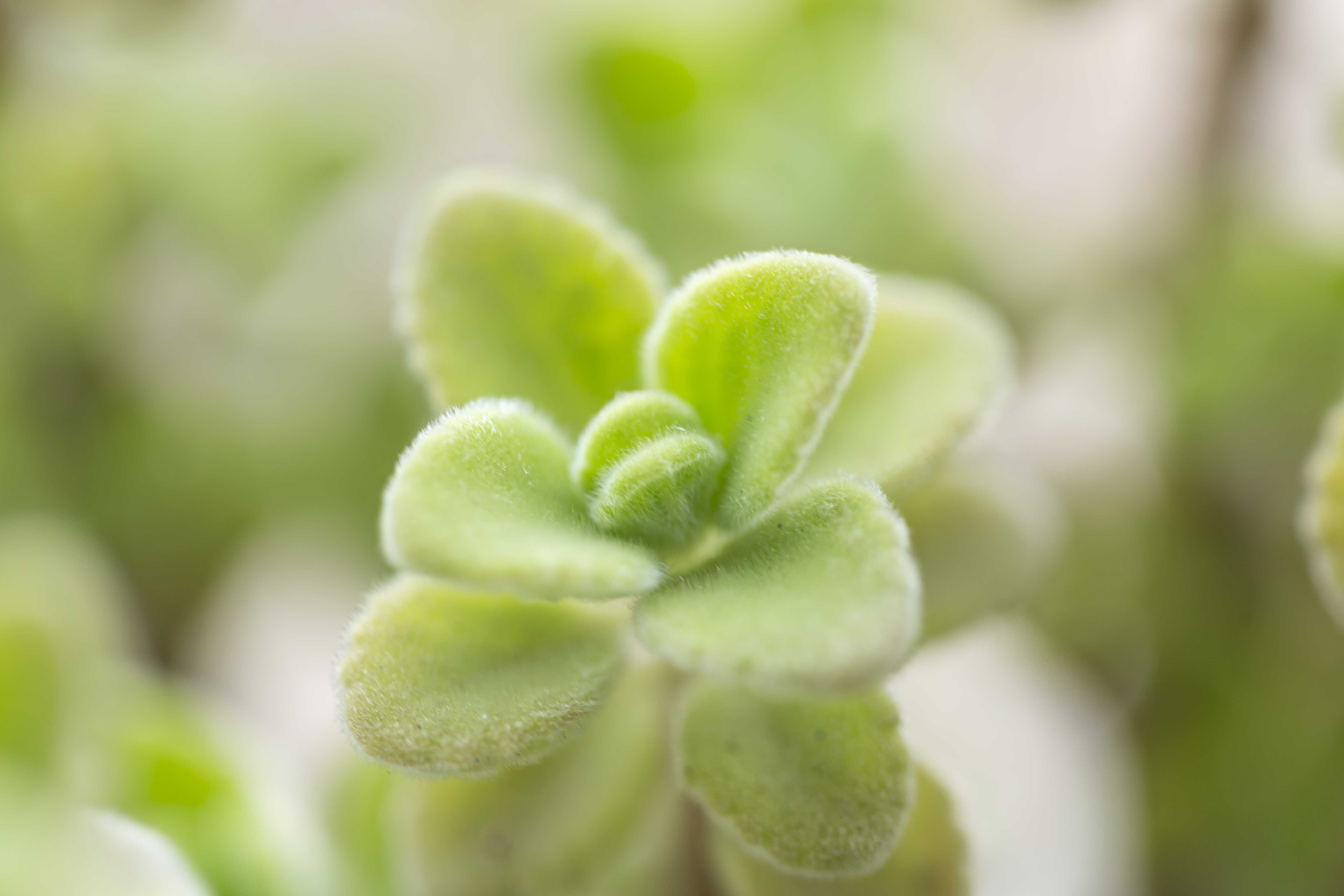 老杜头的个人主页（背景预览） - 主页背景设置 - 站酷设计师老杜头原创素材 - 站酷ZCOOL