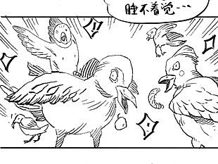 流浪猫