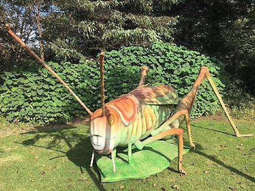 昆虫展出租 巨型仿真昆虫现货出租亚马逊昆虫展