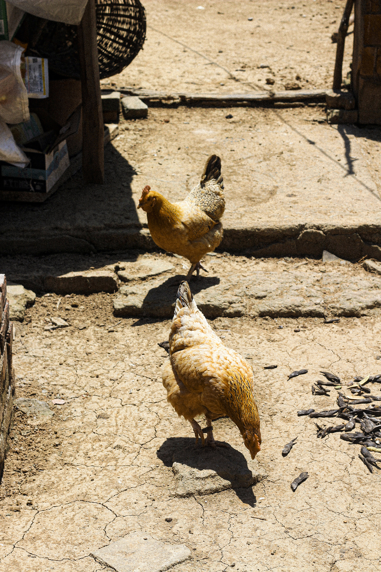 乡村生活 我的奶奶|摄影|人文/纪实摄影|何大抖_原创作品-站酷(zcool)