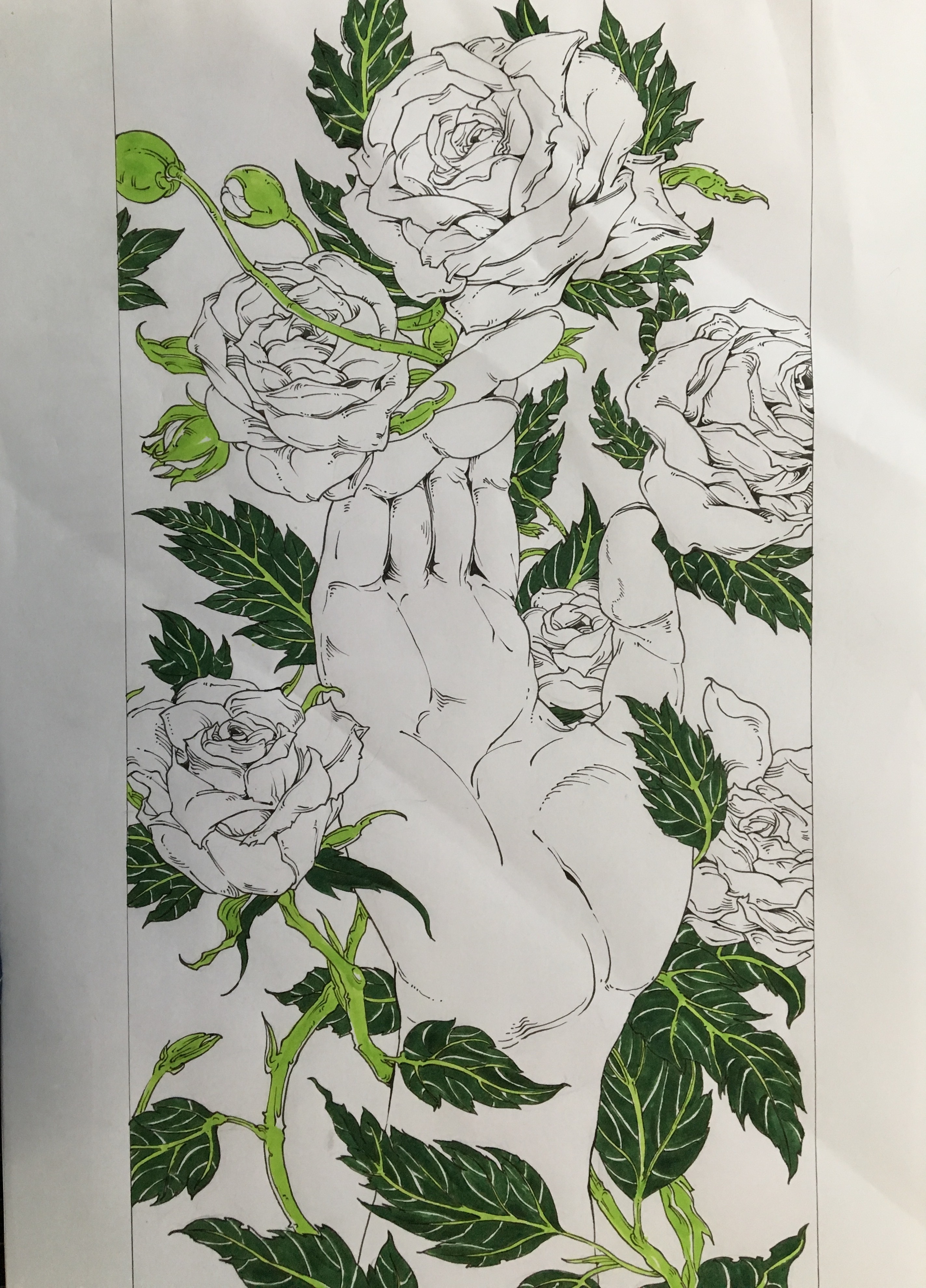 马克笔上色练习