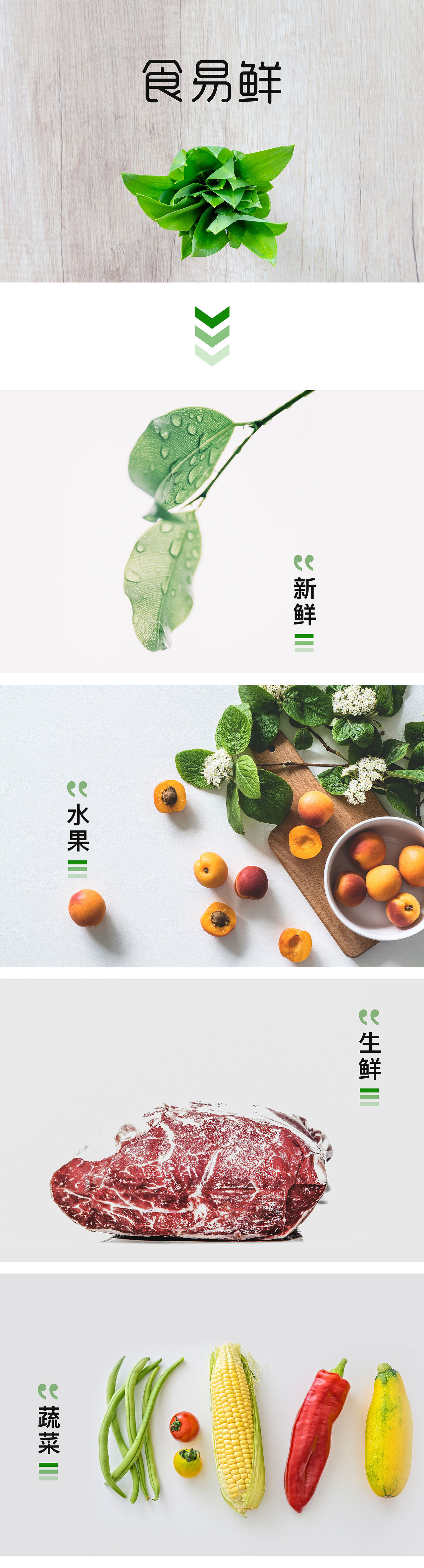 食材LOGO设计提案（图ZMTY3MDI4NjQw） - 品牌 - 站酷设计师Sanfire原创素材 - 站酷ZCOOL