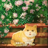 张家豪的老婆的头像