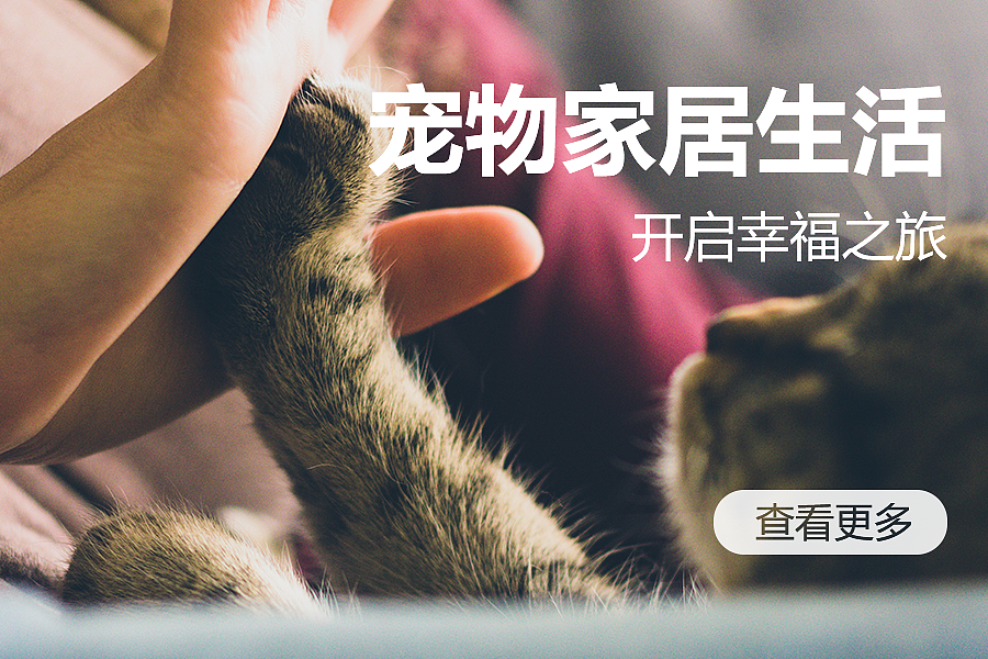 挪威森林宠物家居小程序（图ZMTc2NzcwOTI4） - APP界面 - 站酷设计师我头不是面团捏的原创素材 - 站酷ZCOOL