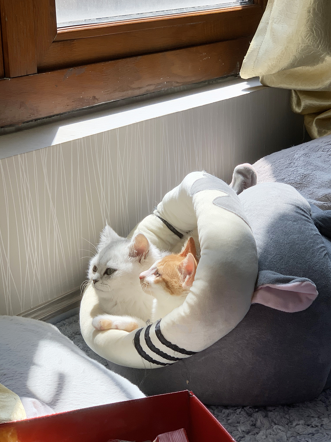 我刚到家的她们