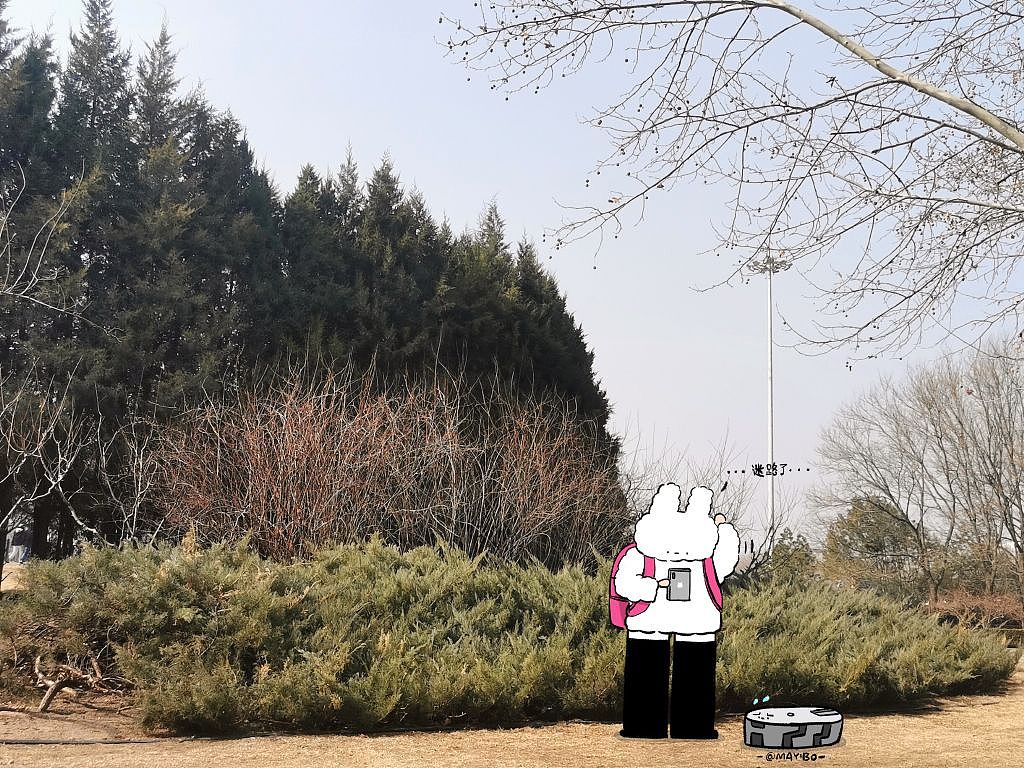 棉棉兔的写真馆