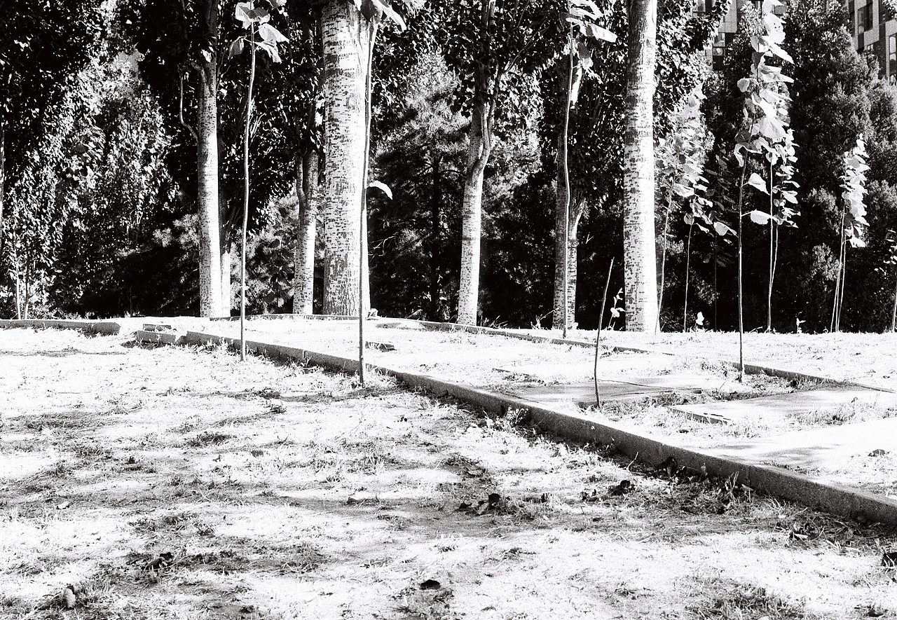 「胶片」尼康大F