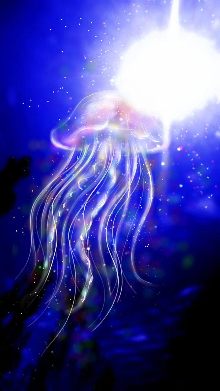 【脑世绘·116】狂热海洋
在孕育你的海洋里<br>一切都无所遁形<br>你的善良<br>你的恶意<br>... ...<br>你的每一瞥笑容<br>你的每一抹泪痕<br>都消融在拥抱你的海洋里<br>如此狂热<br>2018.08.28