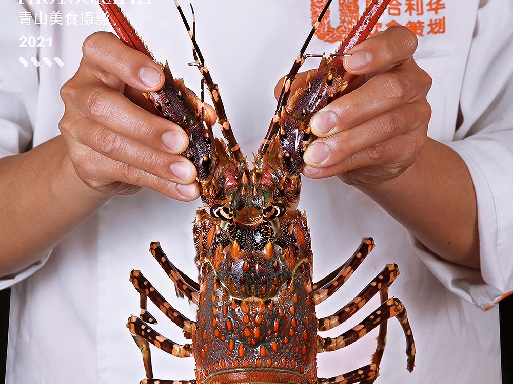 美食摄影 粤菜 潮州菜 海鲜 酒楼拍摄