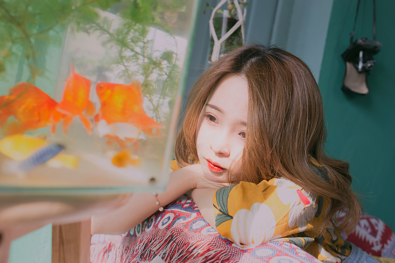 属于重庆森林的夏天