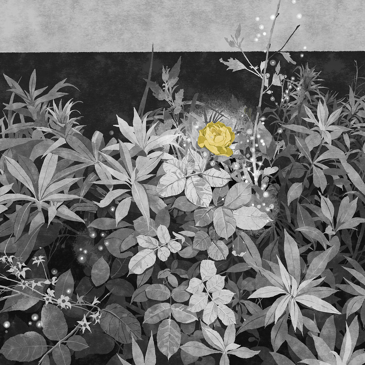 夜行2（图ZMTM2MTc5ODQ4） - 商业插画 - 站酷设计师yoonliu原创素材 - 站酷ZCOOL