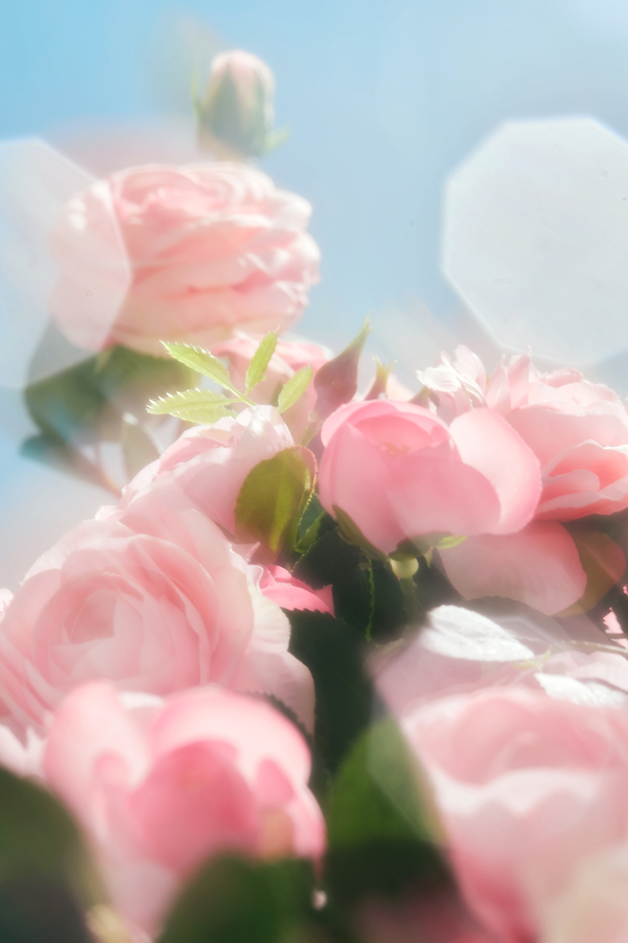 香氛泉 新娘手捧花 香氛洗衣液 高端日化产品