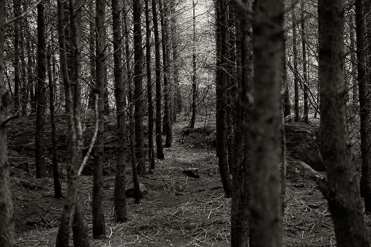 风光摄影系列2（图ZMzUyMDA2OTY4） - 风光摄影 - 站酷设计师莫潘原创素材 - 站酷ZCOOL