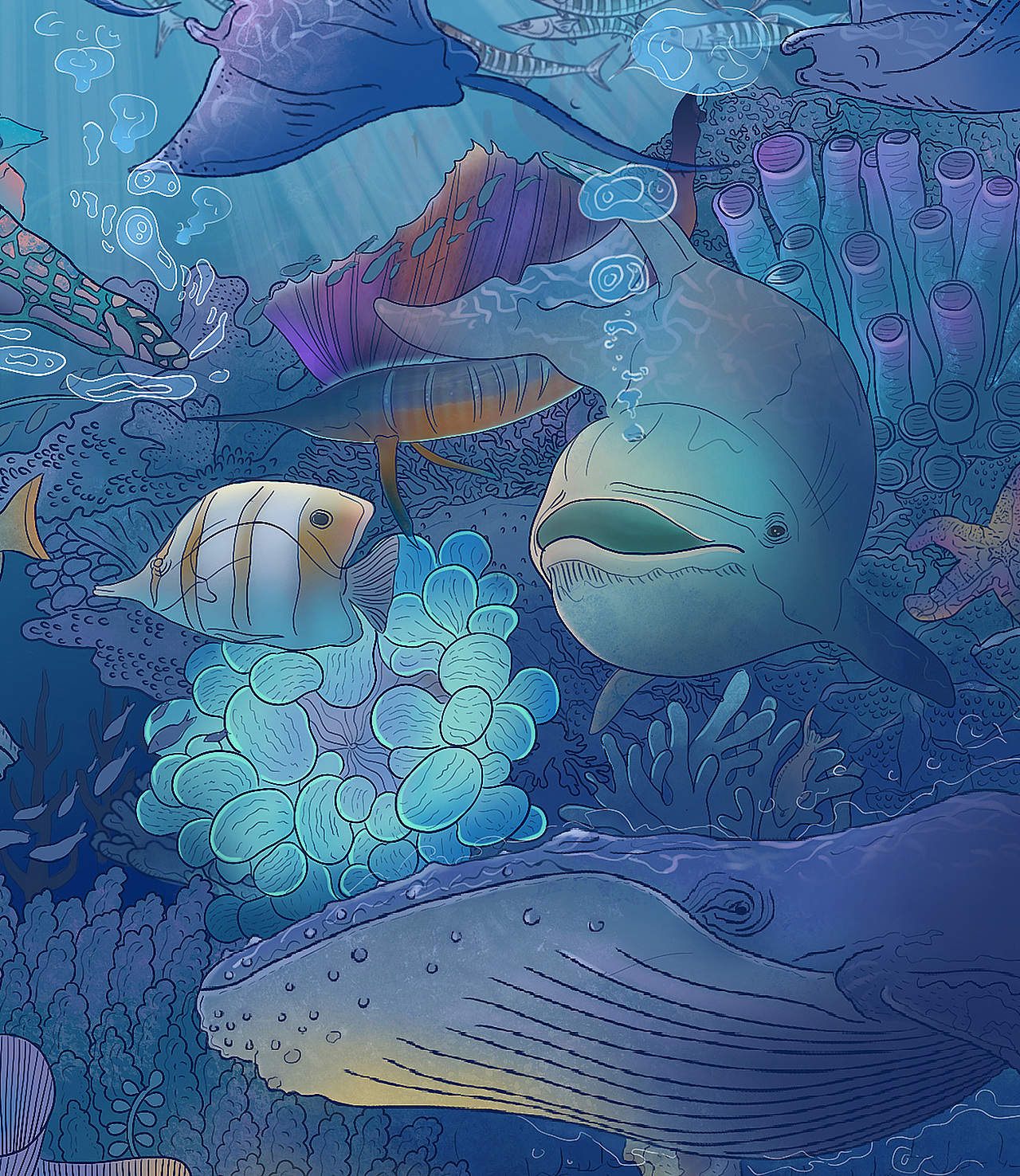 海洋里的可可可可可爱爱爱爱的小动物们插画设计