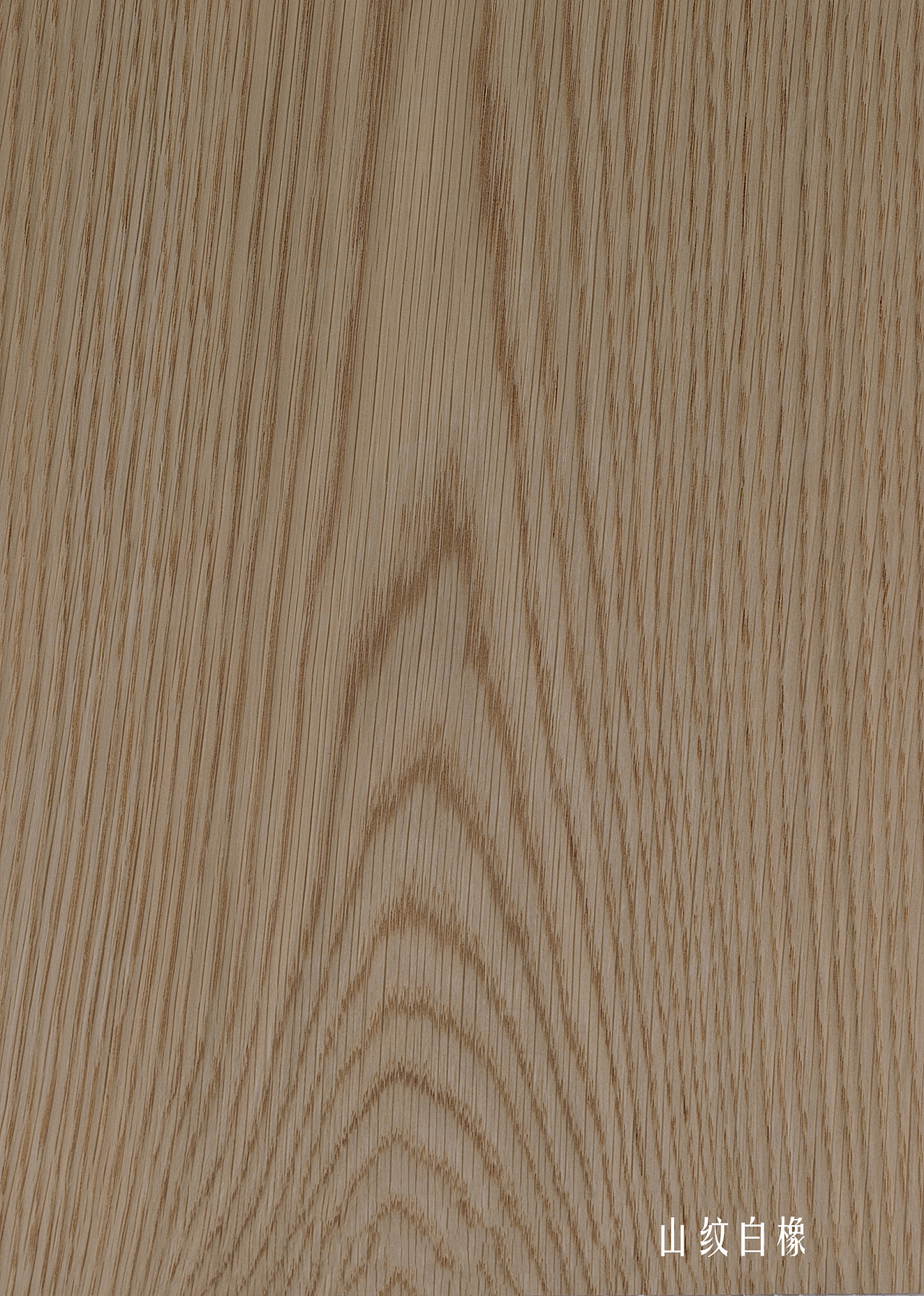 双鹰·木纹素材·木皮 | 双鹰固装