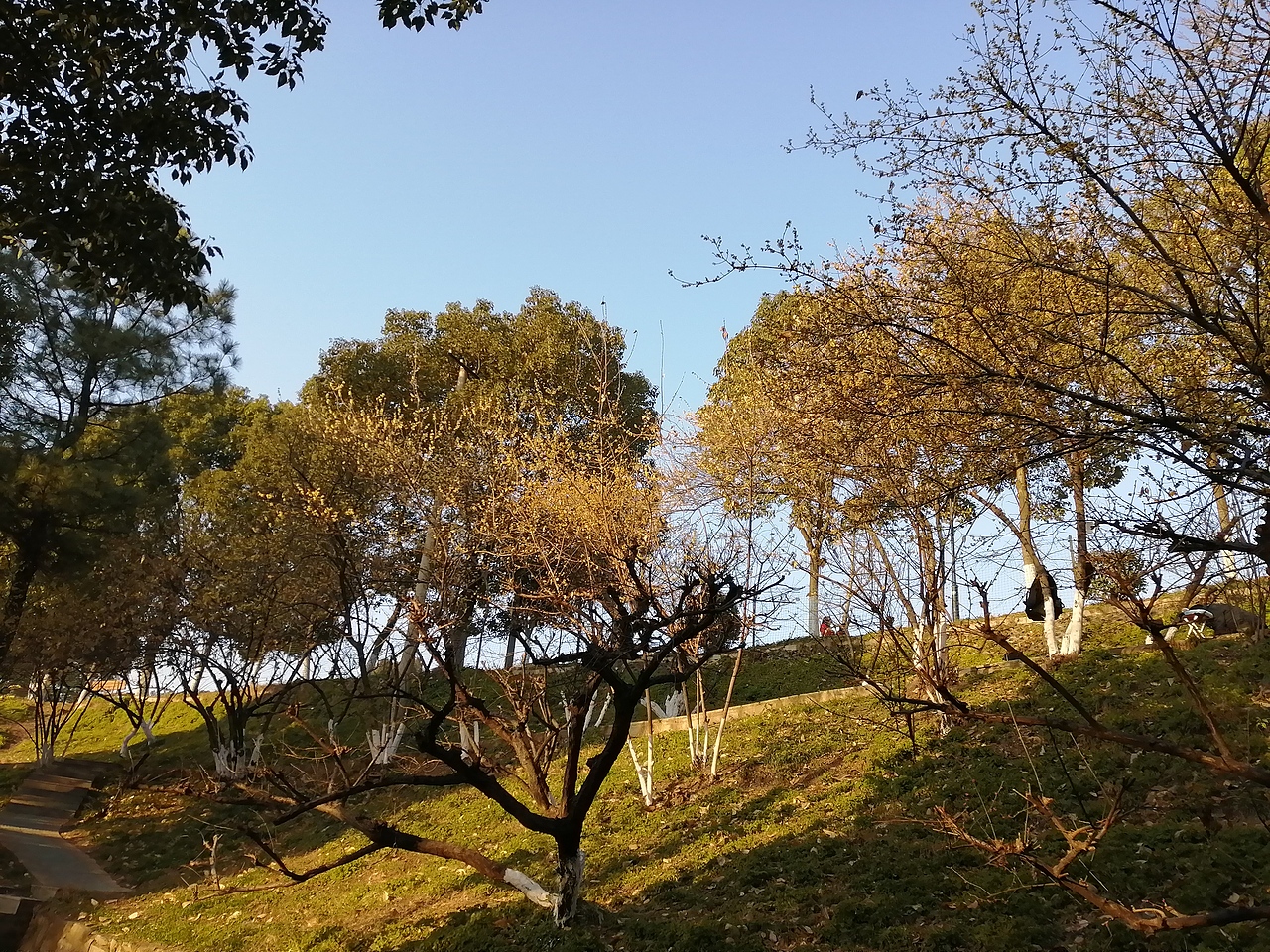 境源己造,相由心生