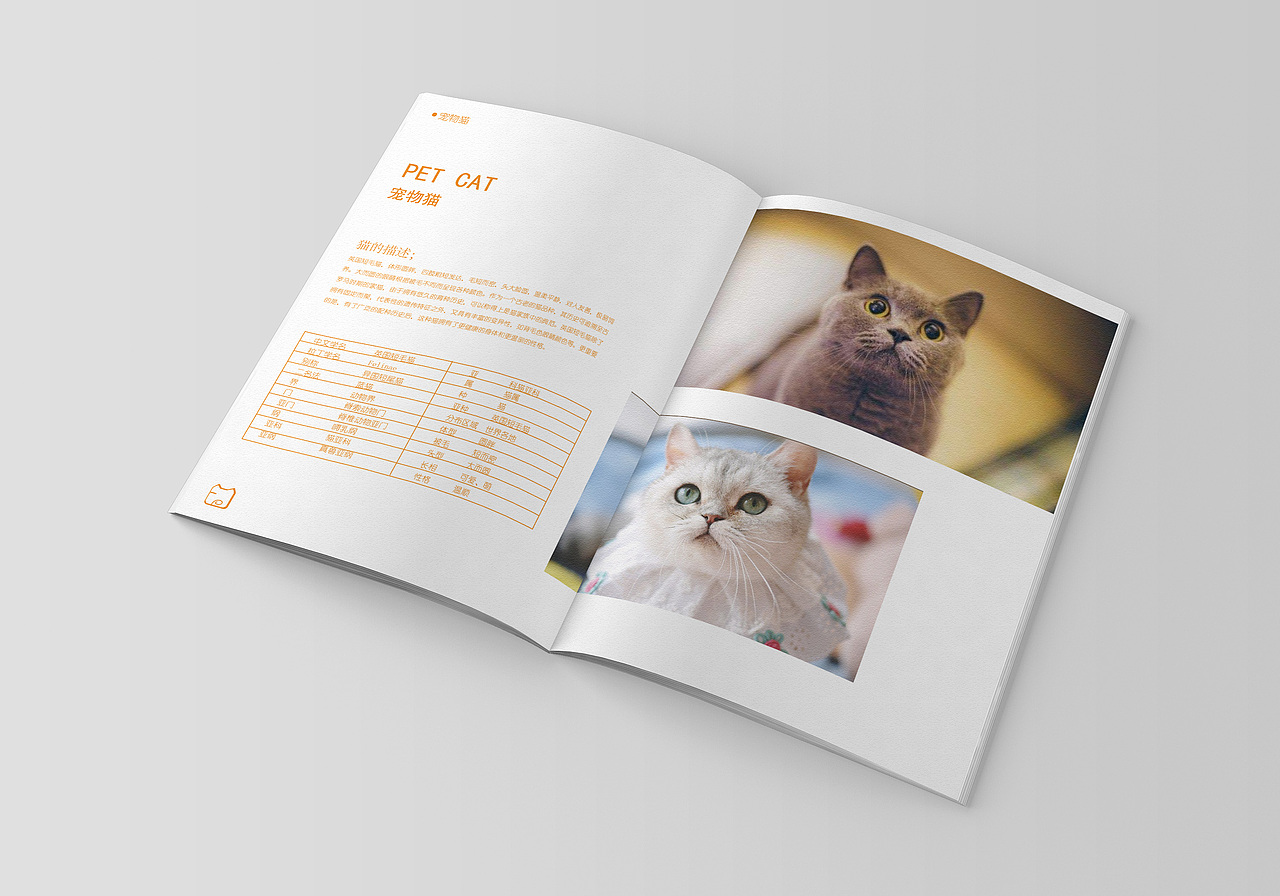 作品集（图ZMTUzMTQ5NDIw） - 品牌 - 站酷设计师废F材C原创素材 - 站酷ZCOOL