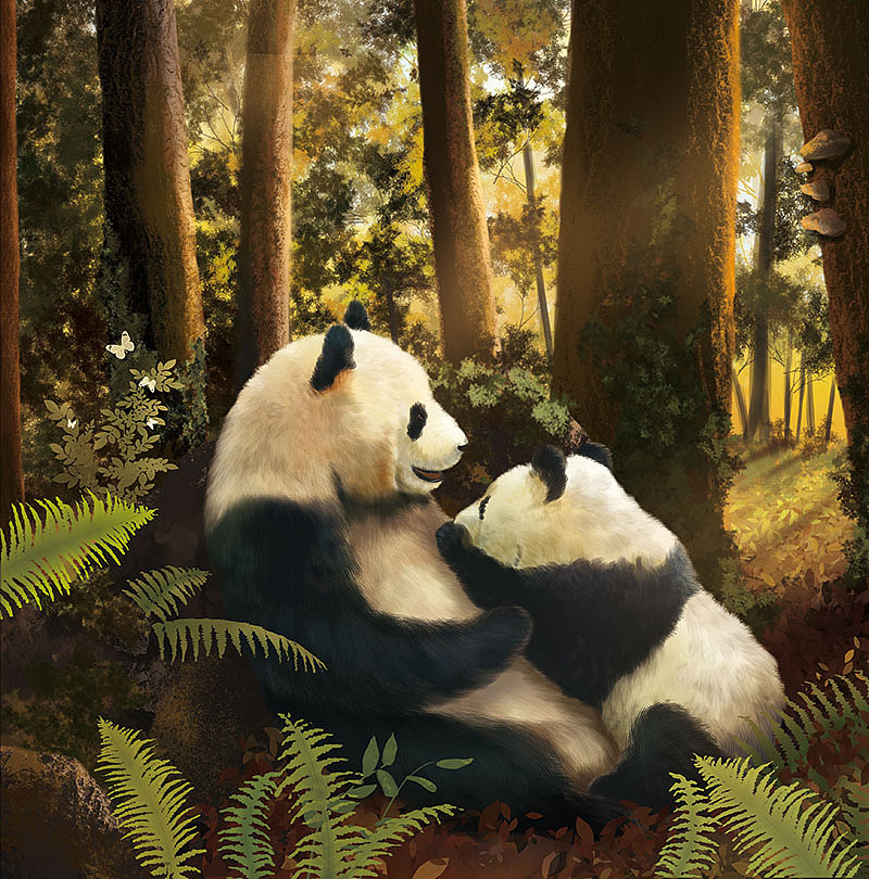 森林里的一天(已出版)