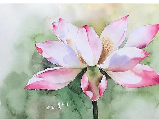 部分手绘作品，花卉、动物、风景等