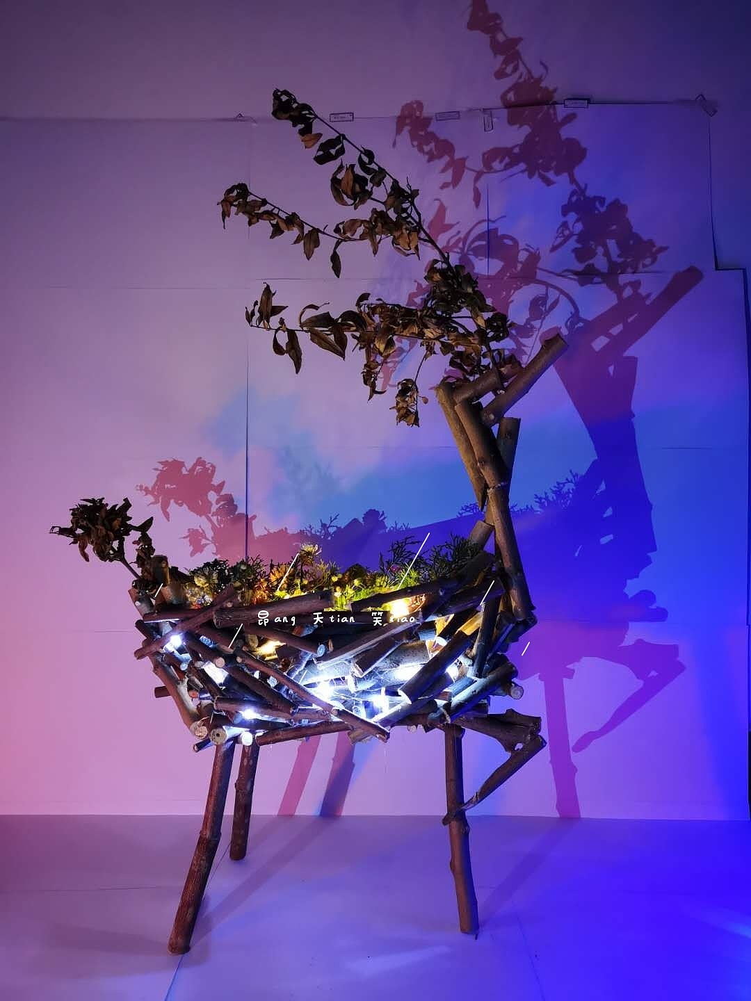 立体构成作业(仿生设计)