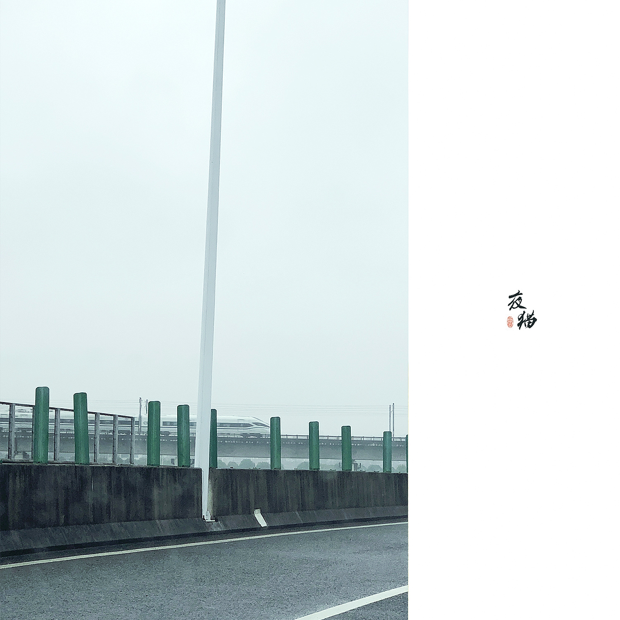 高架桥 动车 钢丝网