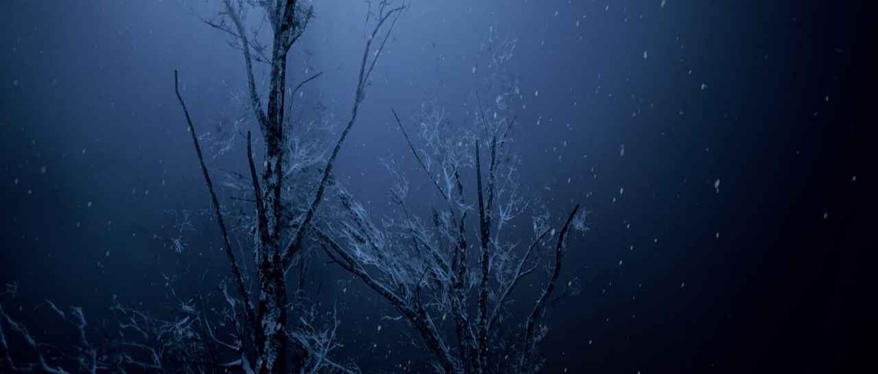 《UE5/UE4 雪的童话世界》（图ZMjg3NDE3Mzk2） - 场景 - 站酷设计师阿泰ATAI动态视觉原创素材 - 站酷ZCOOL