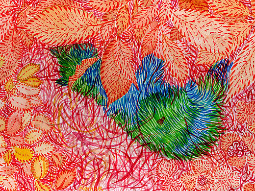 1000只流浪猫计划