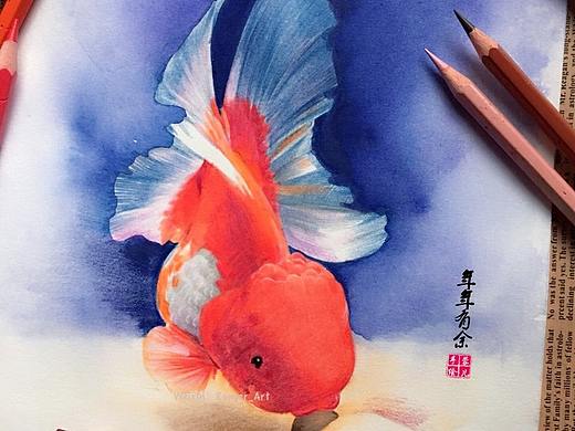 【年年有余】水溶彩铅